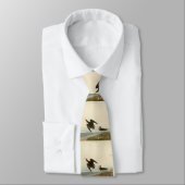 Schinzs Sandpiper von Audubons Vögeln Amerikas Krawatte (Gebunden)