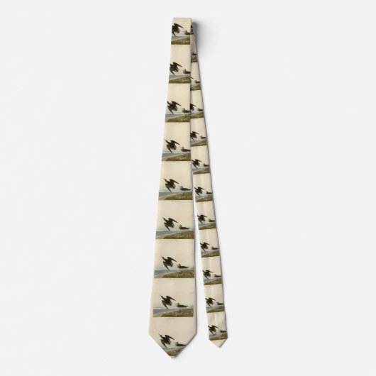 Schinzs Sandpiper von Audubons Vögeln Amerikas Krawatte (Vorderseite)