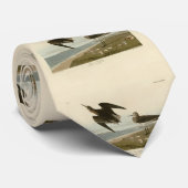 Schinzs Sandpiper von Audubons Vögeln Amerikas Krawatte (Gerollt)