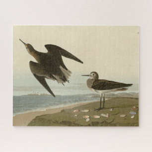Schinzs Sandpiper von Audubons Vögeln Amerikas Puzzle