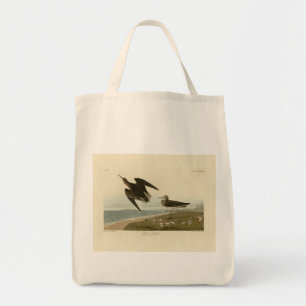 Schinzs Sandpiper von Audubons Vögeln Amerikas Tragetasche