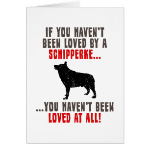 Schipperke