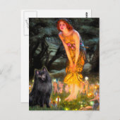 Schipperke 2 - Mitte Eve Postkarte (Vorne/Hinten)
