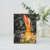 Schipperke 2 - Mittsommer Postkarte (Stehend Vorderseite)
