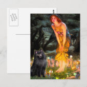 Schipperke 2 - Mittsommer Postkarte (Vorne/Hinten)