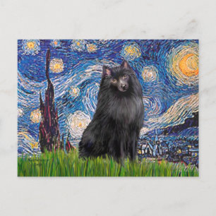 Schipperke 2 - Starry Night Postkarte