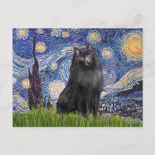 Schipperke 2 - Starry Night Postkarte (Vorderseite)