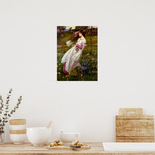 Schipperke 2 - Windblumen Poster (Küche)