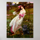 Schipperke 2 - Windblumen Poster (Vorne)