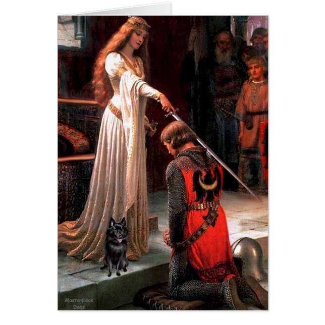 Schipperke 4 - Die Akkolade (Vorne)