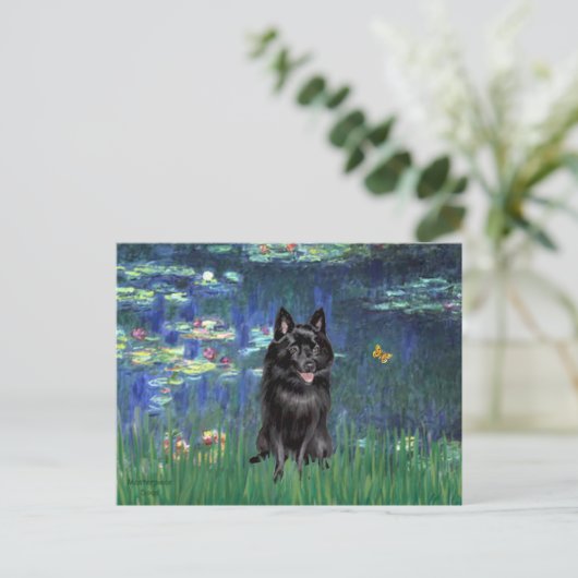 Schipperke 4 - Lilies 5 Postkarte (Stehend Vorderseite)