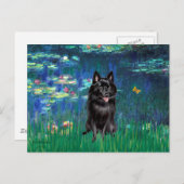 Schipperke 4 - Lilies 5 Postkarte (Vorne/Hinten)