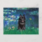 Schipperke 4 - Lilies 5 Postkarte (Vorderseite)