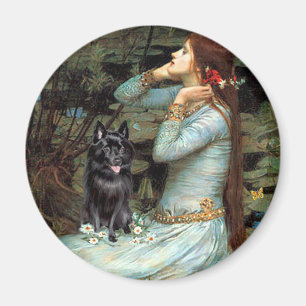 Schipperke 4 - Ophelia sitzend Magnet