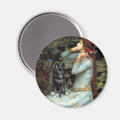 Schipperke 4 - Ophelia Sitzplätze Magnet (Vorderseite/Rückseite)