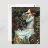 Schipperke 4 - Ophelia Sitzplätze Postkarte (Vorne/Hinten)