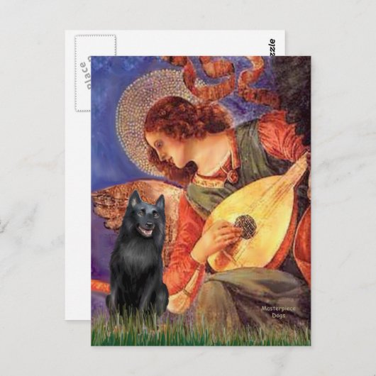 Schipperke 5 - Mandolin Angel Postkarte (Vorne/Hinten)