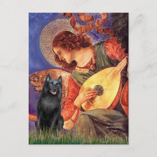 Schipperke 5 - Mandolinenengel Postkarte (Vorderseite)