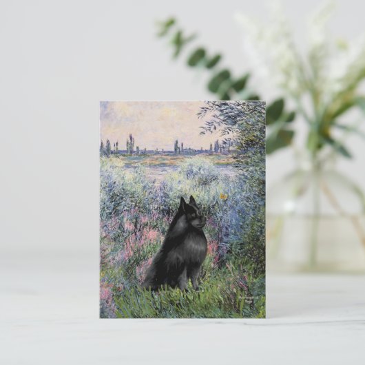Schipperke 6 - An der Seine Postkarte (Stehend Vorderseite)