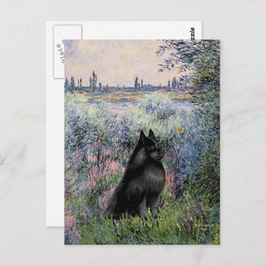 Schipperke 6 - An der Seine Postkarte (Vorne/Hinten)
