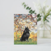 Schipperke 6 - Frühling Postkarte (Stehend Vorderseite)