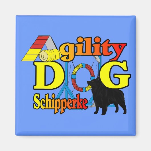 Schipperke Agility Geschenke Magnet (Vorne)