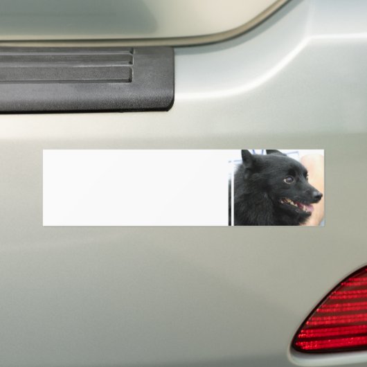 Schipperke-Autoaufkleber Autoaufkleber (Auf Auto)