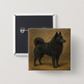 Schipperke Button (Vorne & Hinten)
