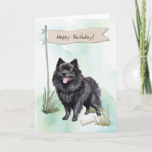 Schipperke Dog Breed Outdoor under Birthday Sign Karte