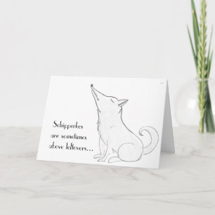 Schipperke Dog Cartoon Karte