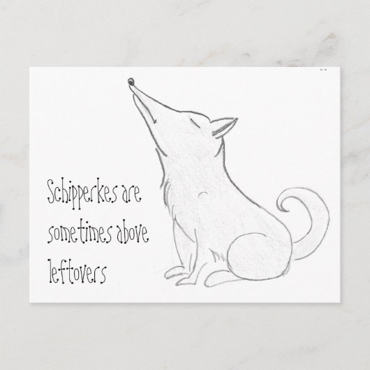 Schipperke Dog Cartoon Postkarte (Vorderseite)