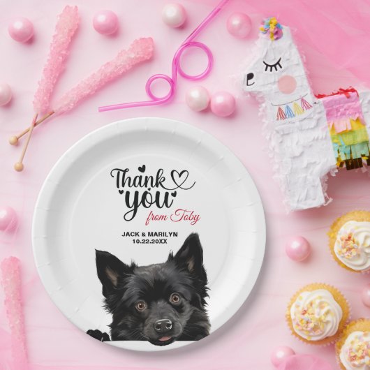 Schipperke Dog Pappteller (Party)