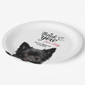 Schipperke Dog Pappteller (Schrägansicht)