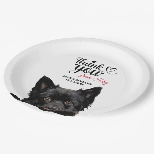 Schipperke Dog Pappteller (Schrägansicht)