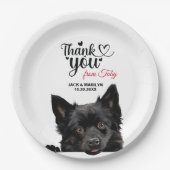 Schipperke Dog Pappteller (Vorderseite)