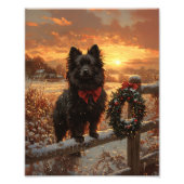 Schipperke Dog Rustic Winter Sunset Fotodruck (Vorne)