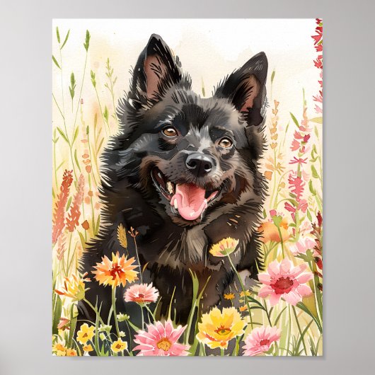 Schipperke Dog Watercolor Portrait Wall Poster (Vorne)