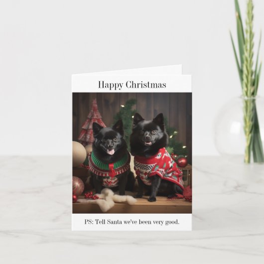 Schipperke Dogs Happy Christmas Card Karte (Vorderseite)
