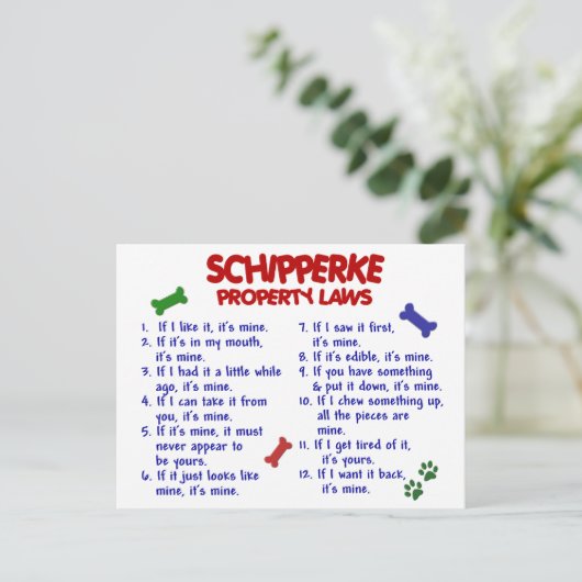 SCHIPPERKE-Eigentumsrecht 2 Postkarte (Stehend Vorderseite)