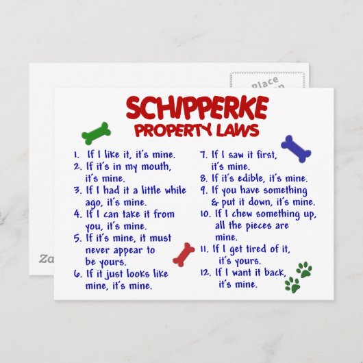 SCHIPPERKE-Eigentumsrecht 2 Postkarte (Vorne/Hinten)