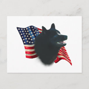 Schipperke Flag Postkarte