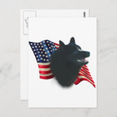 Schipperke Flag Postkarte (Vorne/Hinten)