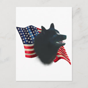 Schipperke Flag Postkarte