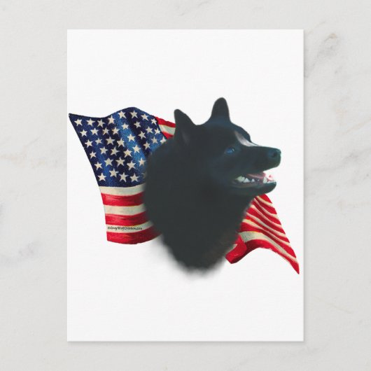 Schipperke Flag Postkarte (Vorderseite)