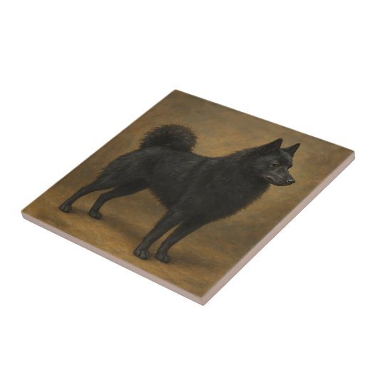 Schipperke Fliese (Seite)