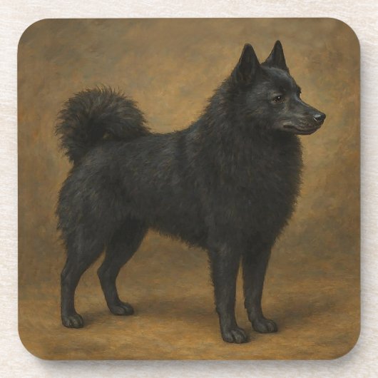 Schipperke Getränkeuntersetzer (Vorderseite)