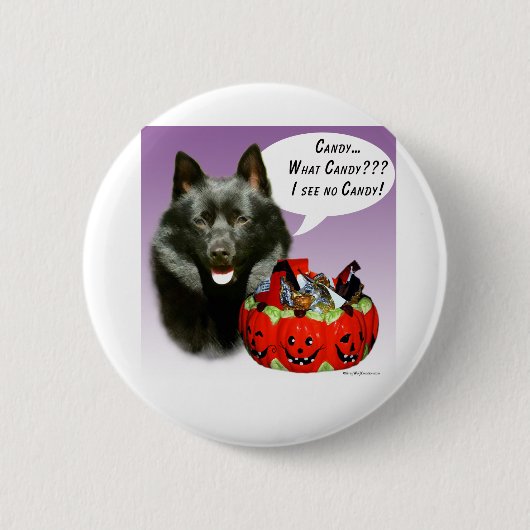 Schipperke Halloween Candy Button (Vorderseite)