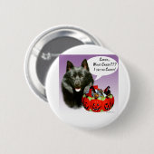 Schipperke Halloween Candy Button (Vorne & Hinten)
