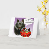 Schipperke Halloween Candy Karte (Gelbe Blume)