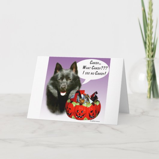 Schipperke Halloween Candy Karte (Vorderseite)